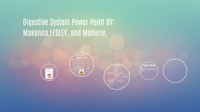 The Digestive System Power Point by makenna ward on Prezi