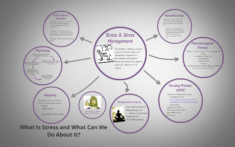 Stress and Stress Management by Jennifer Rosales on Prezi