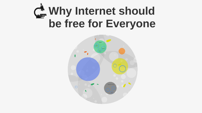 internet should be free for everyone essay