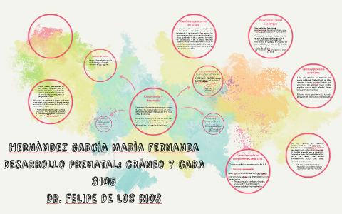 Los términos de crecimiento y desarrollo no son sinónimos, p by ...