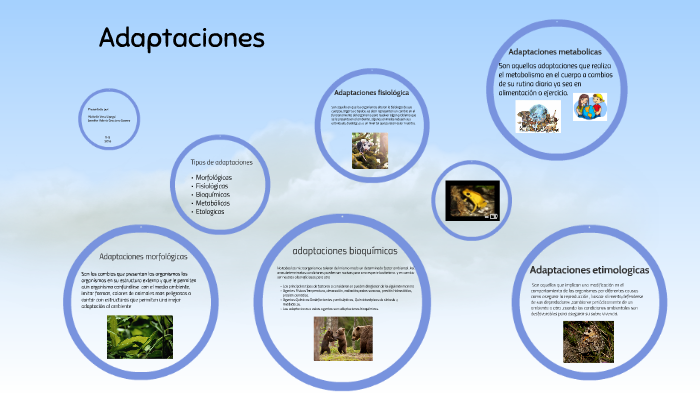 Adaptaciones fisiológicas by jennifer valeria graciano suarez on Prezi