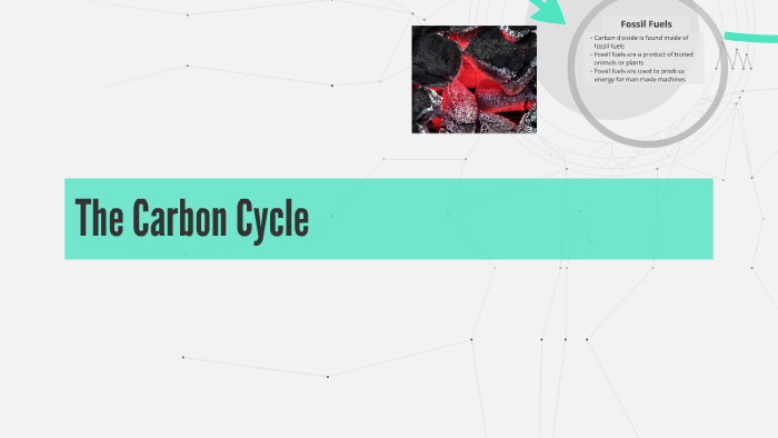 The Carbon Cycle by manuel c on Prezi