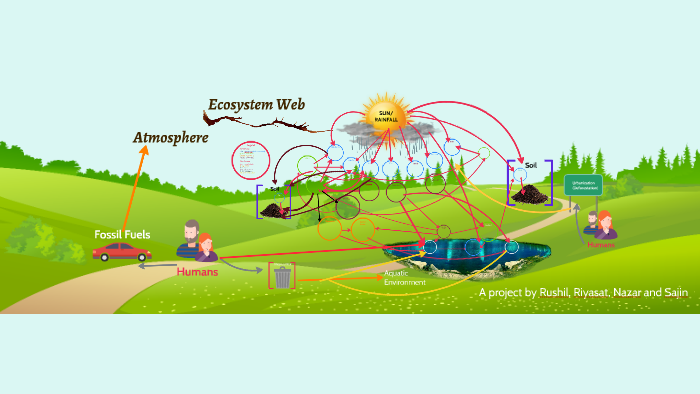Ecosystem Web by Sajin Kowser on Prezi