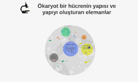 dna bulunduran organeller