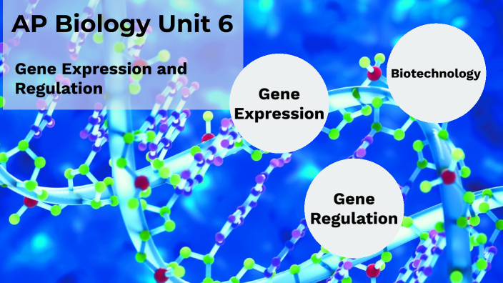 AP Bio Unit 6: Gene Expression By Christopher Himmelheber On Prezi