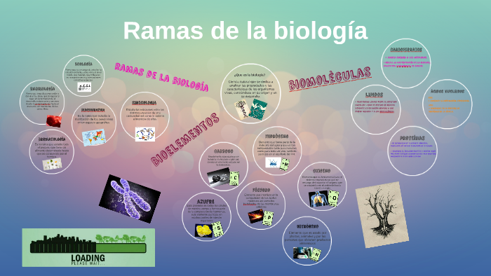 Ramas de la biologia by Ana Tovar Moreno