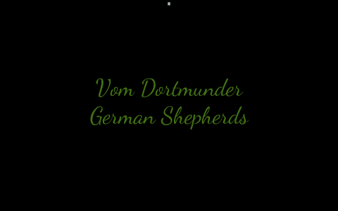 Vom dortmunder hot sale german shepherds