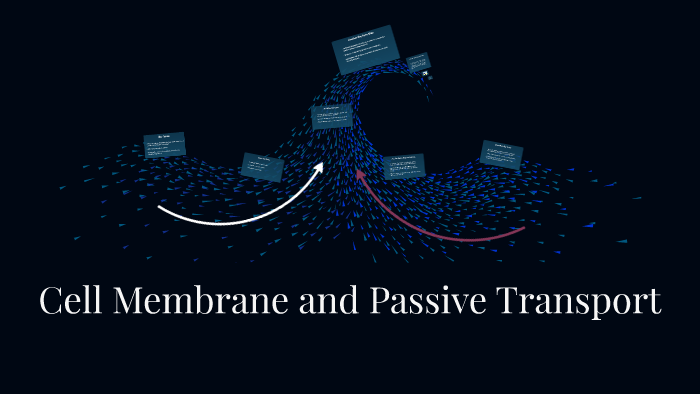 Cell Membrane and Passive Transport by Bella Fisher on Prezi