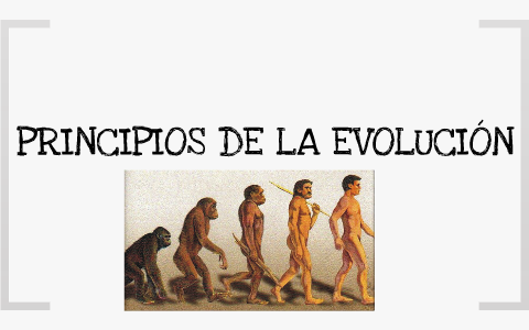 Principios de la evolución by m i