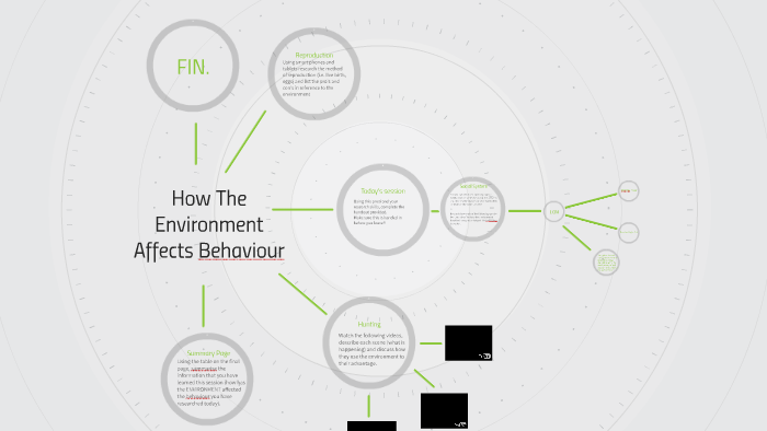 how-the-environment-affects-behaviour-by-steve-kemmery