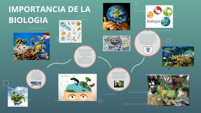 IMPORTANCIA DE LA BIOLOGIA By Jhon Castro On Prezi