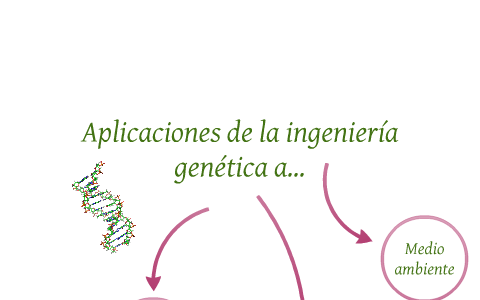 Aplicaciones De La Ingenieria Genetica A La Ganaderia La