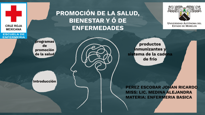 Promoción De La Salud, Bienestar Y Prevención De Enfermedades By JJohan ...