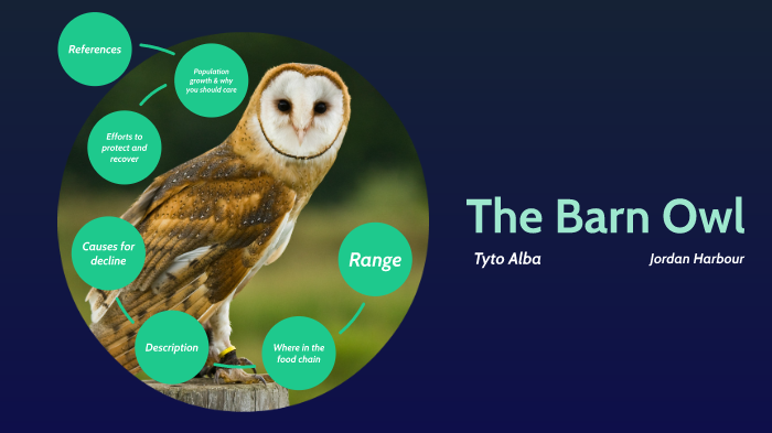 Endangered species by jordan harbour on Prezi