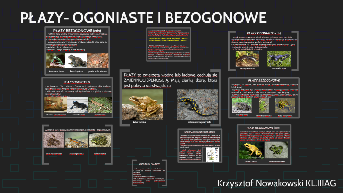 PŁAZY OGONIASTE I BEZOGONOWE by Krzysiek Nowakowski on Prezi