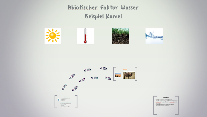 Umweltfaktor Wasser by Meryem Martin on Prezi