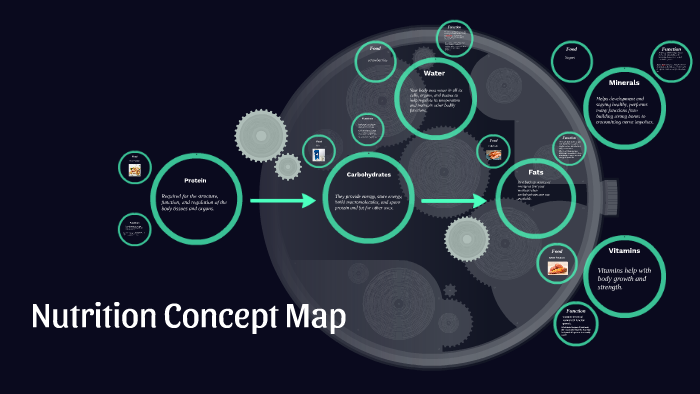 Nutrition Concept Map By Darely Cantu On Prezi