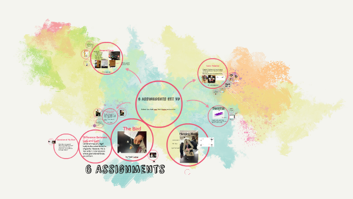 6 assignments set up by kevin won on Prezi
