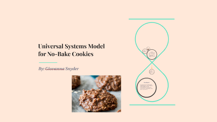 Universal Systems Model by Dani Snyder on Prezi