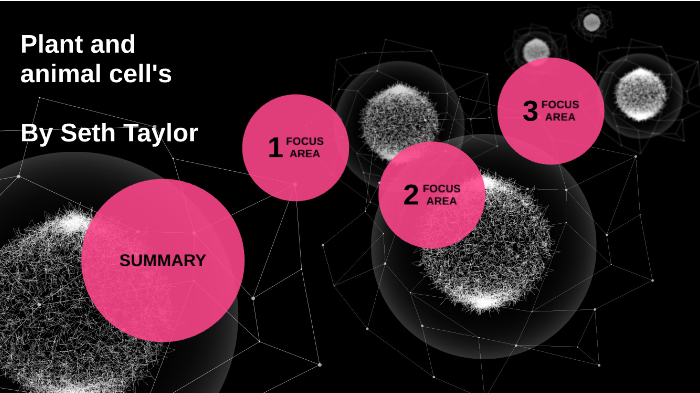 plant and animal cell project. by Seth Taylor on Prezi