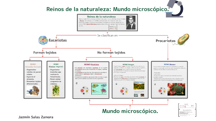 Reinos de la naturaleza: Mundo microscópico. by Jazmin Salas on Prezi