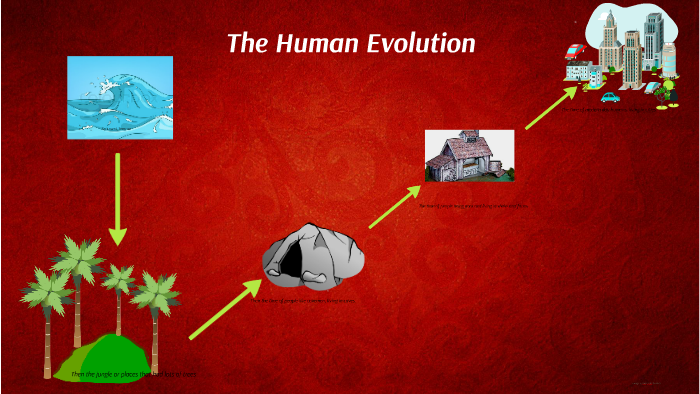 The Human Evolution by Sanjeshni Singh on Prezi