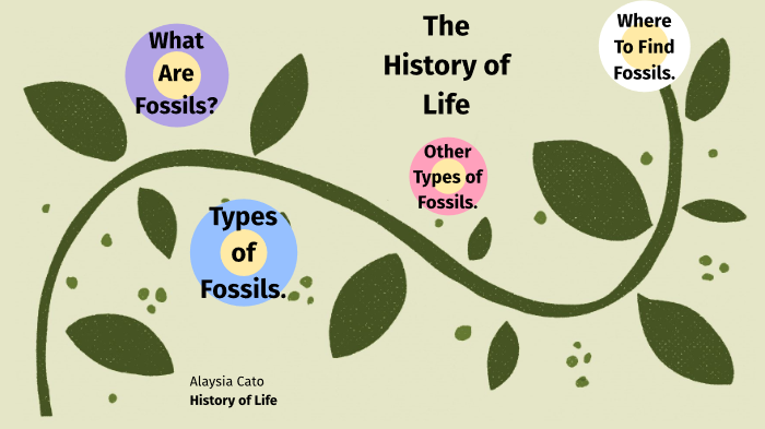 History of Life Lab by alaysia cato on Prezi