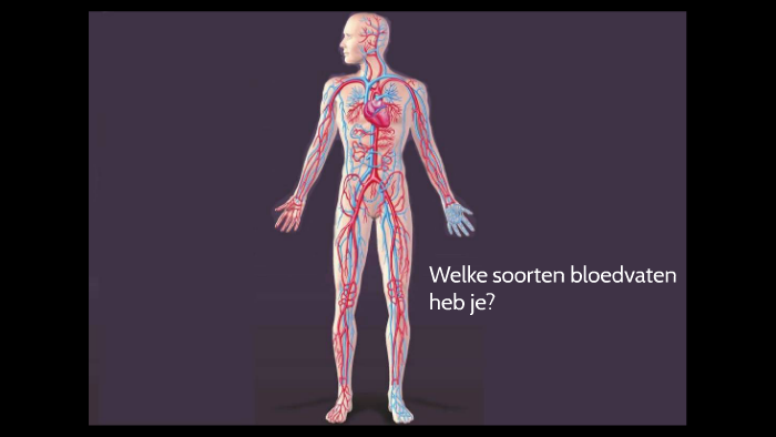 Welke soorten bloedvaten heb je? by Lotte Vriesendorp on Prezi