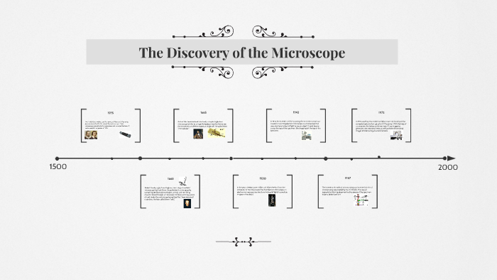 The Discovery of the Microscope by Chelsey Landiak