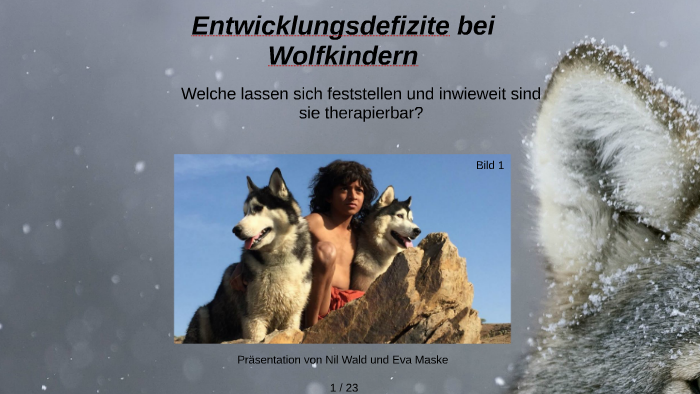 Entwicklungsdefizite Bei W By Eva Maske On Prezi
