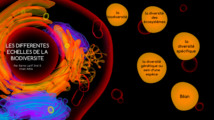 LES DIFFERENTES ECHELLES DE LA BIODIVERSITE SARRA LARIF 2ND 5 By Sarah ...