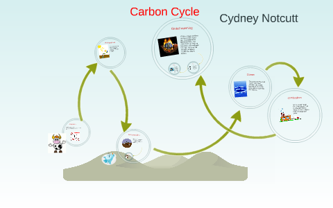 Carbon Cycle by on Prezi