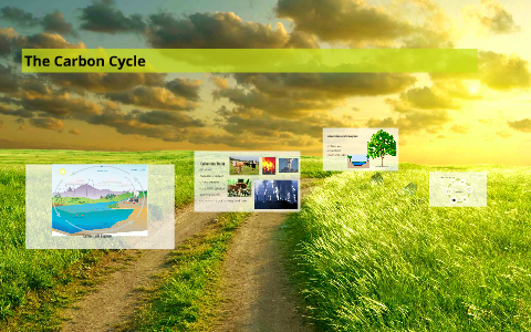 The Carbon Cycle by Lana Kelley on Prezi
