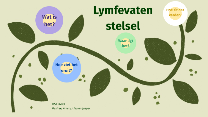 Lymfevatenstelsel by Desiree Hernandez on Prezi