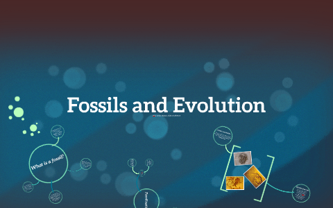 Fossils and Evolution by Zena Thompson on Prezi