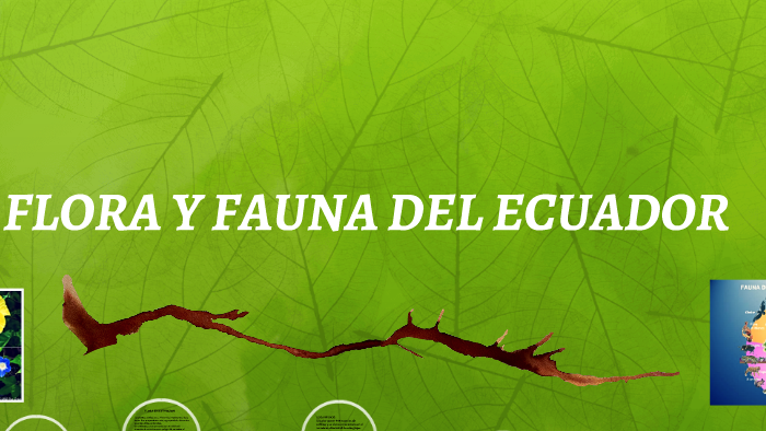 FLORA Y FAUNA DEL ECUADOR by Mayra Cecibel Cango on Prezi