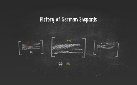 Captain Max von Stephanitz by kendra knight