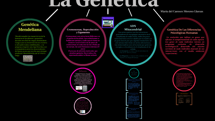 Genetica Mapa Conceptual by Mary Karmen Moreno on Prezi Next