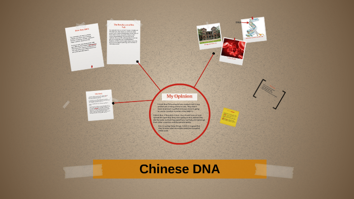 dna chinese new year