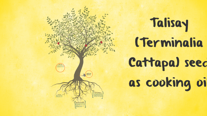 Talisay (Terminalia Cattapa) seed as cooking oi by Jade Armero on Prezi