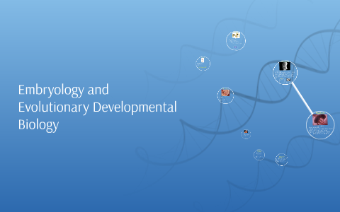 Embryology and Evolutionary Developmental Biology by Lindsey Naze