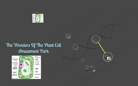 The Wonders Of The Plant Cell Amusement Park by Ryan Herrera on Prezi