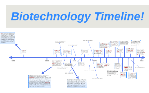 phd biotechnology how many years