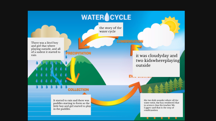 water cycle steps for kids