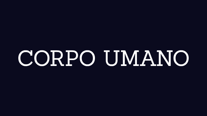 CORPO UMAMO by Andrea Ruberto on Prezi