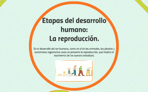 Etapas del desarrollo humano: La reproducción by Lizeth Tirado on Prezi