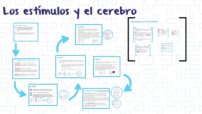Los estímulos y el cerebro by Julia Rodped on Prezi