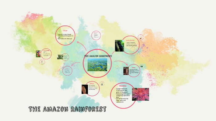 The amazon river by Alan Benitez
