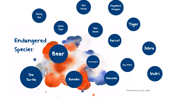 Endangered Species by Cassandra Laabs on Prezi