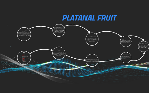 Proyecto Final By On Prezi